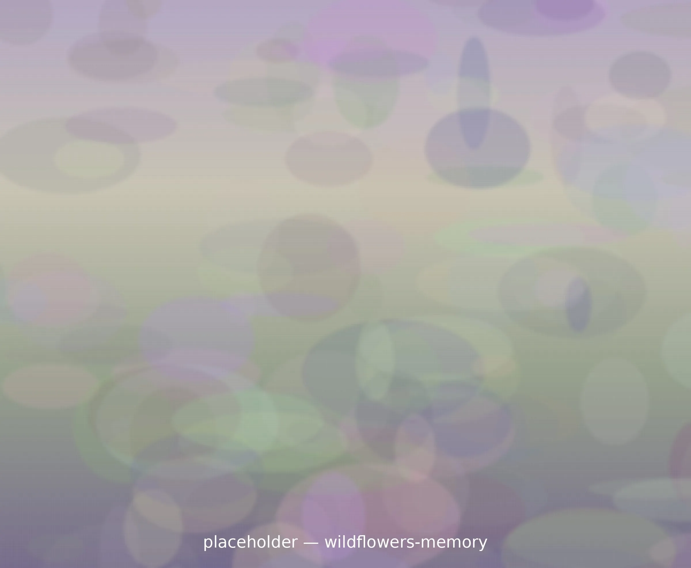 들꽃의 기억 (Memory of Wildflowers)